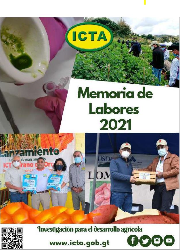 Memoria de Labores ICTA 2020